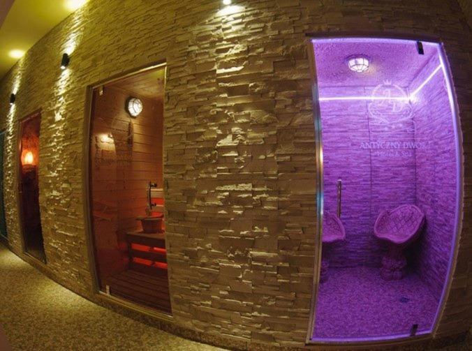 Hotel Wellness & Spa Antyczny Dwor Rudna Mala 외부 사진